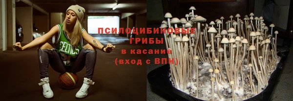 МДМА Богородицк
