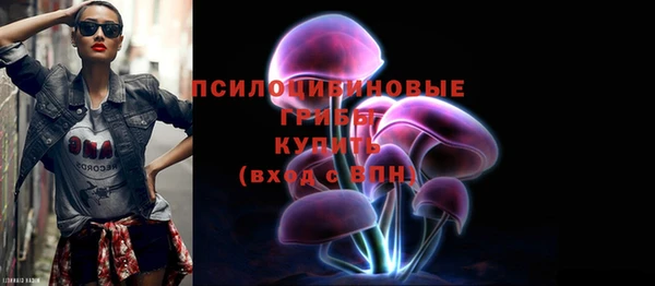 МДМА Богородицк