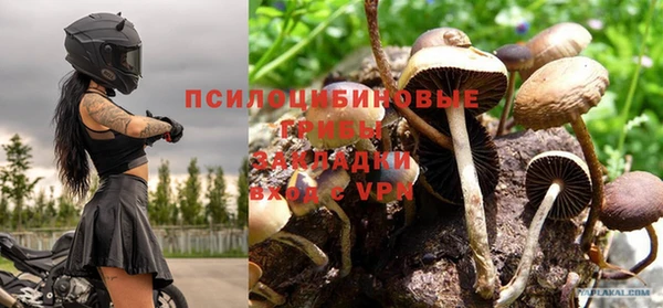 МДМА Богородицк