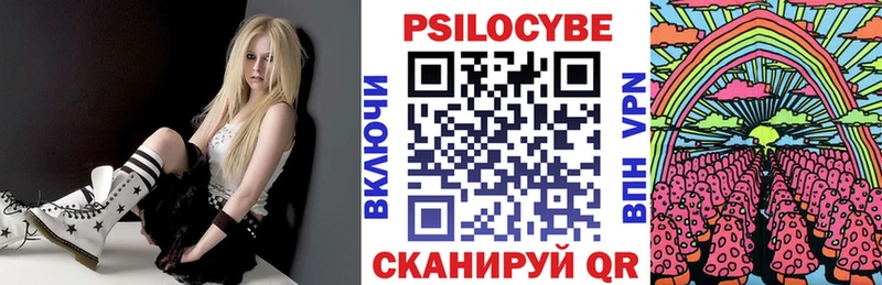 Псилоцибиновые грибы Psilocybe  Малаховка 